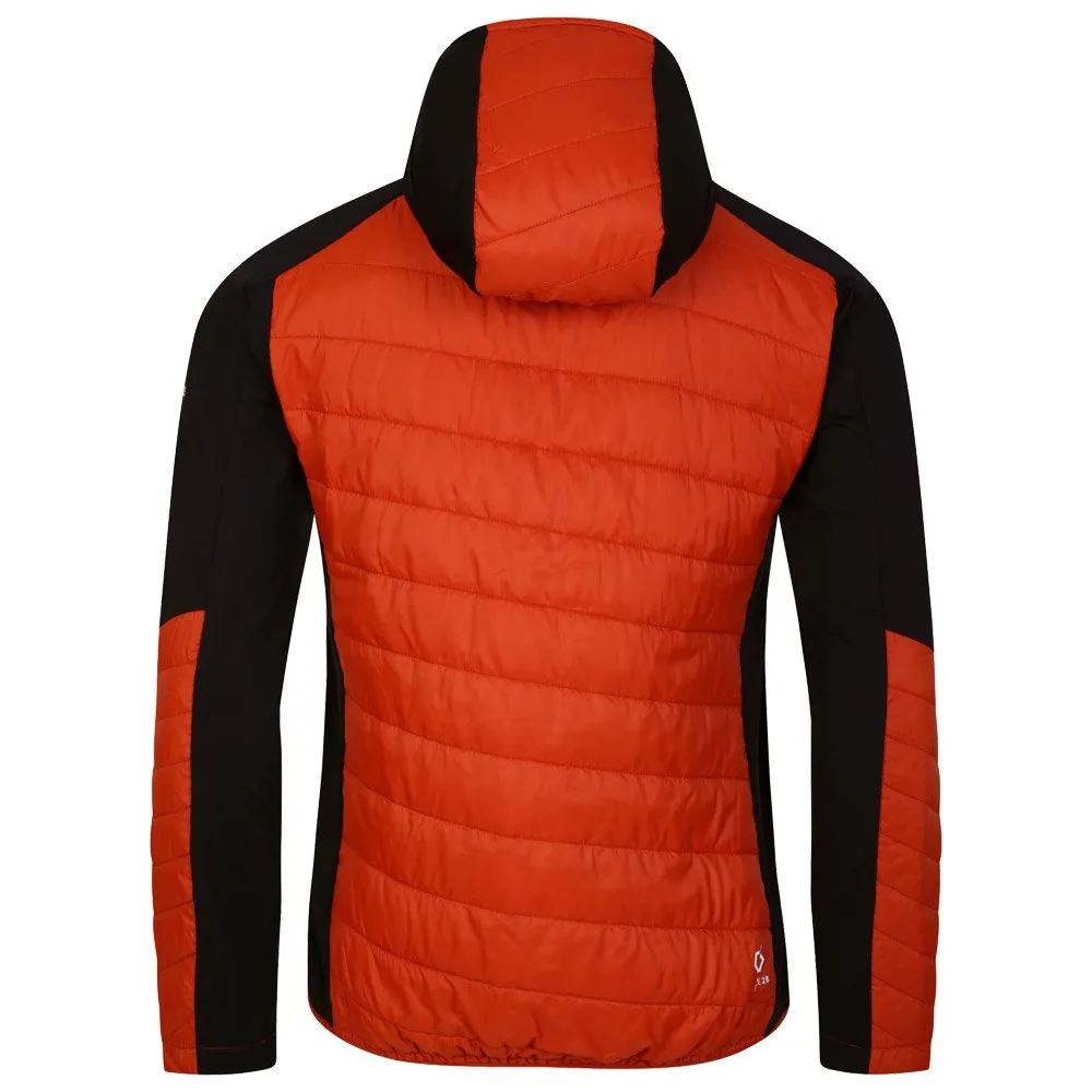 Down jackets DARE2B ---Touring Hybrid Puffins Orange Rooibos Tea