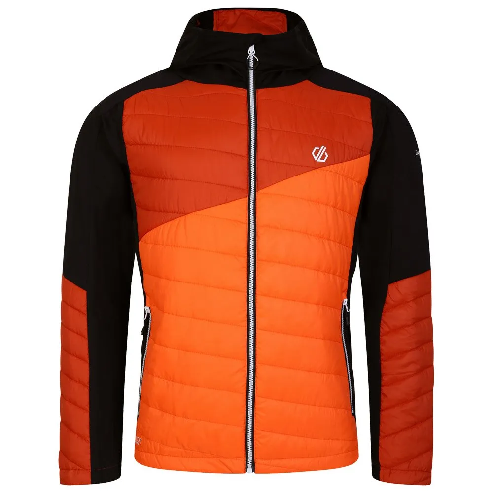 Down jackets DARE2B ---Touring Hybrid Puffins Orange Rooibos Tea