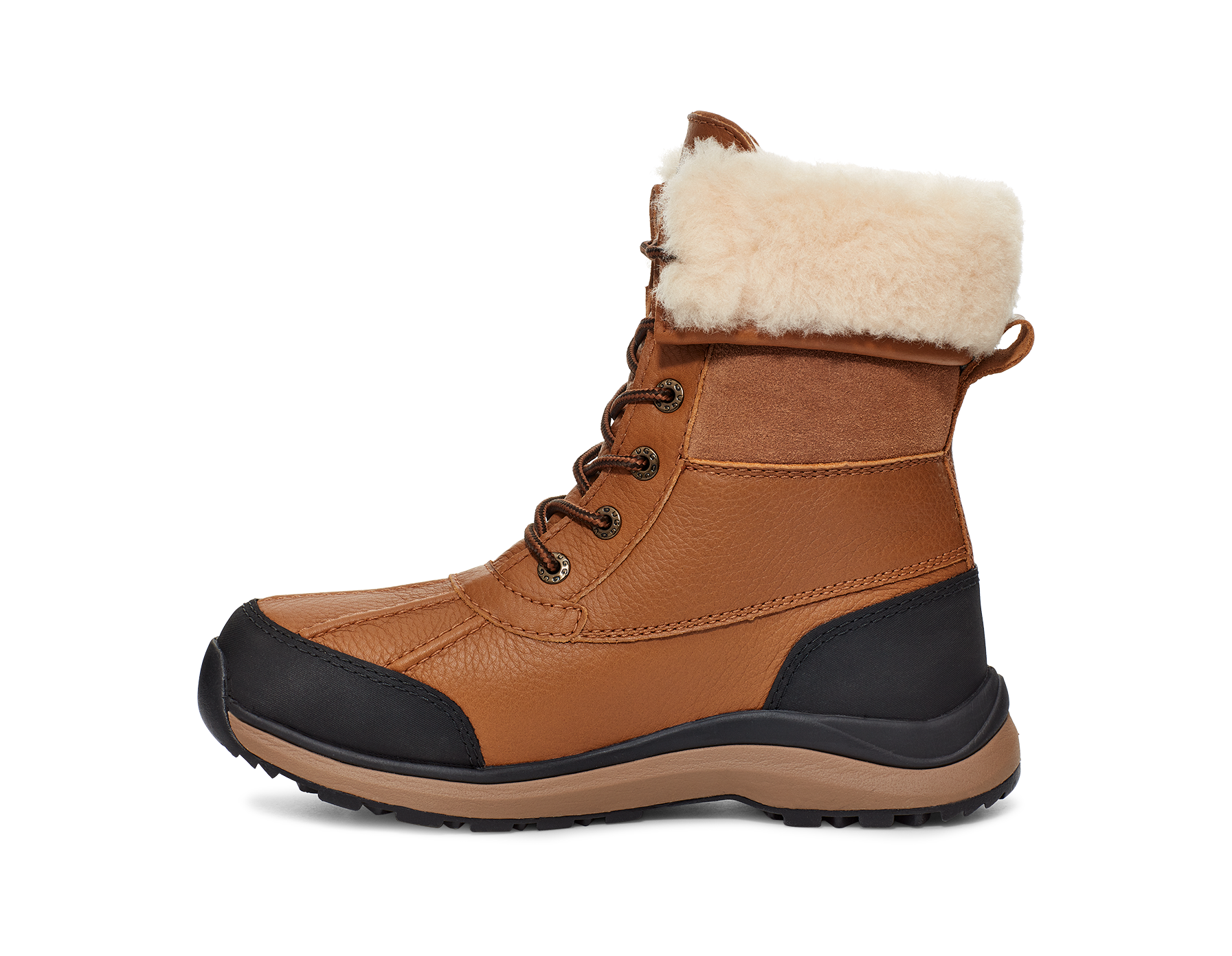 Women's Adirondack III Boot